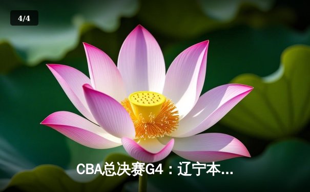 CBA总决赛G4：辽宁本钢加时绝杀浙江稠州 夺队史第三冠 - 4